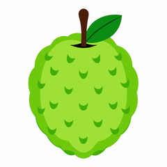 vector illustration of an cherimoya