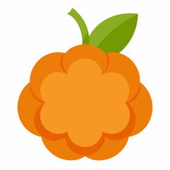 vector illustration of an cloudberry