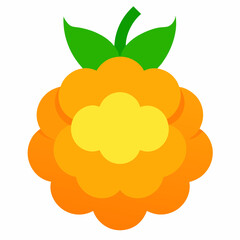 vector illustration of an cloudberry