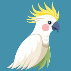 cockatoo vector illustration