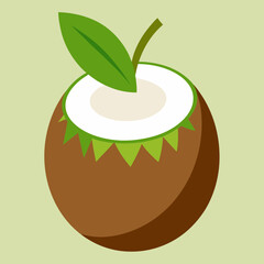 illustration of coconut