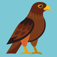 common buzzard vector illustration