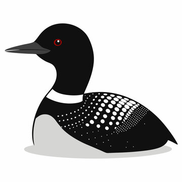 Loon Vector Images – Browse 2,093 Stock Photos, Vectors, and Video ...