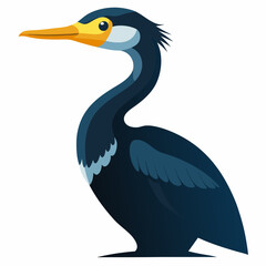 vector illustration of a cormorant
