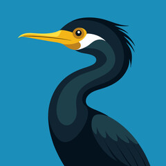 vector illustration of a cormorant