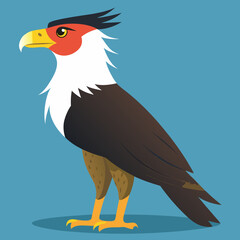 illustration of a crested caracara