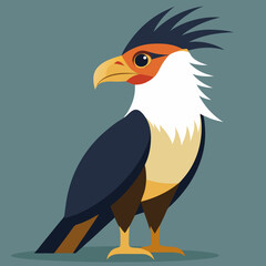 illustration of a crested caracara