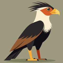 illustration of a crested caracara