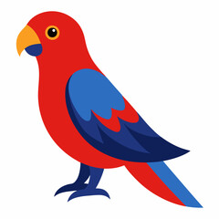 vector illustration of a crimson rosella bird
