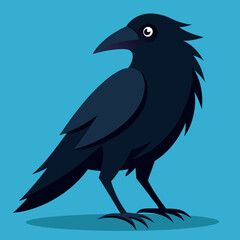 vector illustration of a crow bird