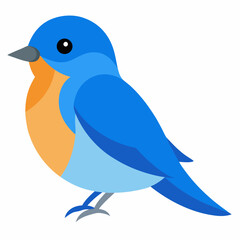 eastern blue bird vector illustratio
