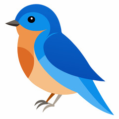 eastern blue bird vector illustratio
