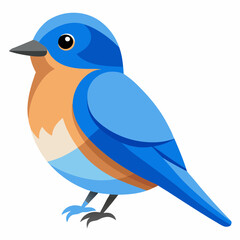 eastern blue bird vector illustratio