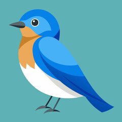 eastern blue bird vector illustratio