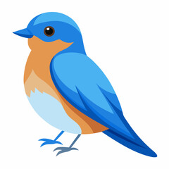 eastern blue bird vector illustratio