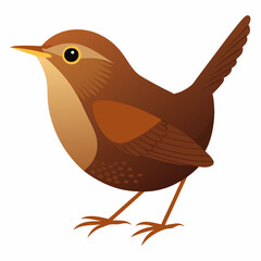 eurasian wren bird on a white background