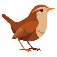 eurasian wren bird on a white background