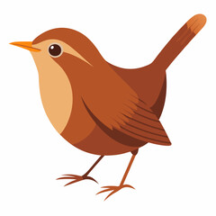 eurasian wren bird on a white background