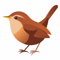 eurasian wren bird on a white background