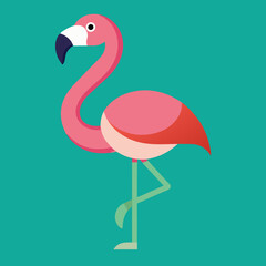 flamingo vector illustration