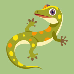 gecko vector illustration