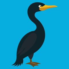 great cormorant vector illustration