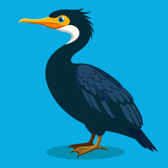 great cormorant vector illustration