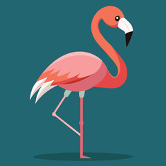 flamingo vector illustration