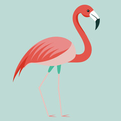 flamingo vector illustration