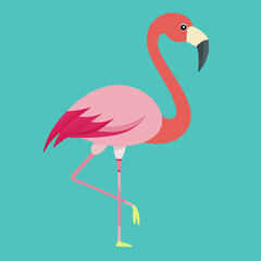 flamingo vector illustration