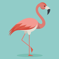 flamingo vector illustration