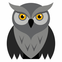 great gray owl on white background