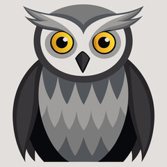 great gray owl on white background