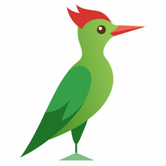 green woodpecker vector illustration