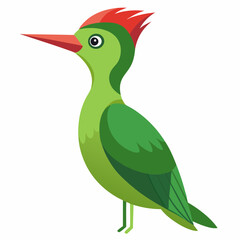 green woodpecker vector illustration
