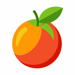 vector illustration of an hala fruit