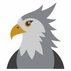 harpy  eagle on a white background