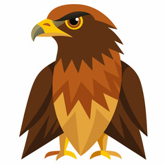 hawk on a white background