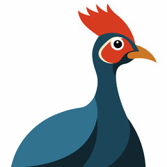 helmeted guineafowl isolated on white background