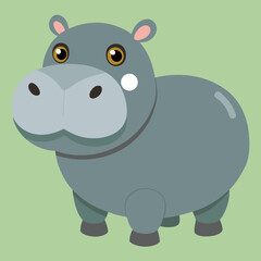 vector illustration of an hippopotamus