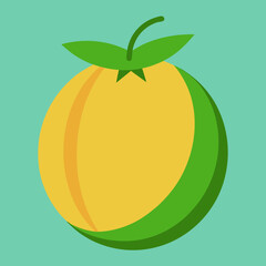 vector illustration of an honeydew
