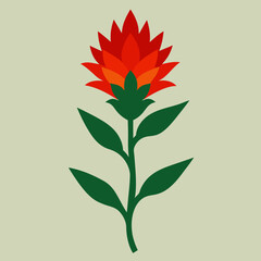 indian paintbrush on a white background