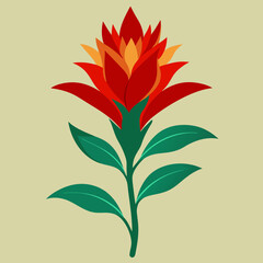 indian paintbrush on a white background