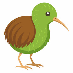 kiwi bird vector illustration
