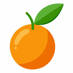 kumquat fruit vector illustration