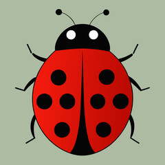 vector illustration of a ladybug
