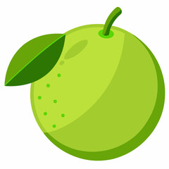 green lime vector illustration