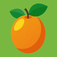 vector illustration of a lucuma