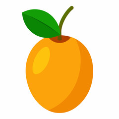 vector illustration of a lucuma