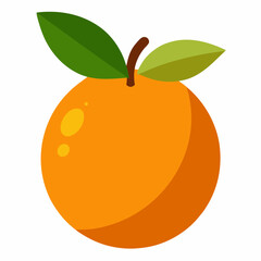 vector illustration of a lucuma